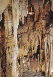 Grandes orgues des grottes d’Isturitz / Association Francis Jammes Orthez Grandes orgues des grottes d’Isturitz / Association Francis Jammes Orthez