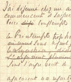 Ms199 (Orthez) / Agrandir l’image Ms199b (Orthez) / Agrandir l’image
