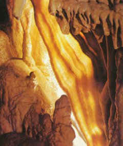 Grottes d’Isturitz, tranche de lard / Association Francis Jammes Orthez Grottes d’Isturitz, tranche de lard / Association Francis Jammes Orthez