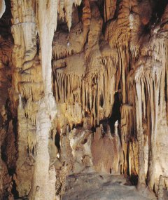 Grottes d’Isturitz, grandes orgues / Association Francis Jammes Orthez Grottes d’Isturitz, grandes orgues / Association Francis Jammes Orthez