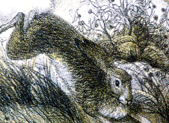 Illustration de Jean Aufort 