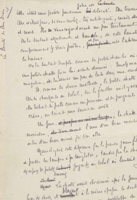 Ms452/11 (Pau)