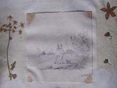 Extraits de l’herbier de Marceline Desbordes-Valmore  / Musée de la Chartreuse, Douai