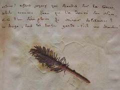 Extraits de l’herbier de Marceline Desbordes-Valmore  / Musée de la Chartreuse, Douai