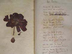 Extraits de l’herbier de Marceline Desbordes-Valmore  / Musée de la Chartreuse, Douai