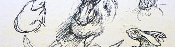 Croquis de Jean Aufort 