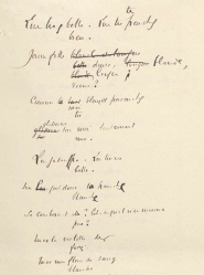 Ms452/21 (Pau)
