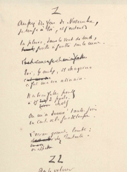 Ms452/21 (Pau)