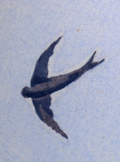 Aquarelle par Charles Lacoste