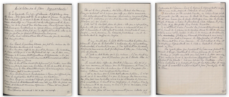 Ms452/26 (Pau)