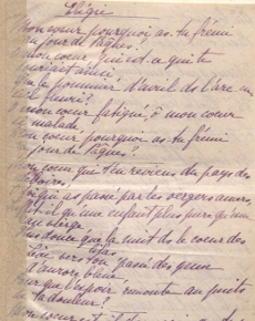 Ms452/22 (Pau)