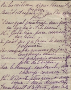 Ms452/22 (Pau)