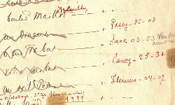 Ms240 (Orthez)