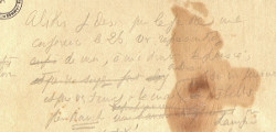 Ms251 (Orthez)