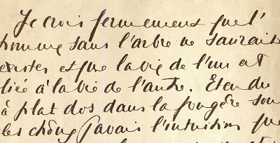 Ms253 (Orthez)