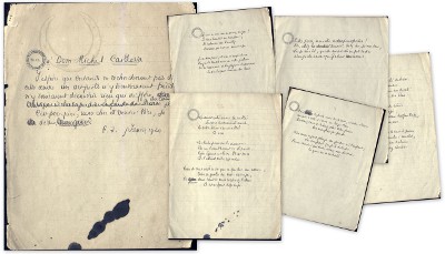 Ms29 (Orthez) / Consulter le document sur Pireneas