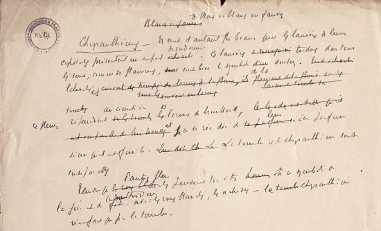 Ms171 (Orthez) / Consulter le document sur Pireneas