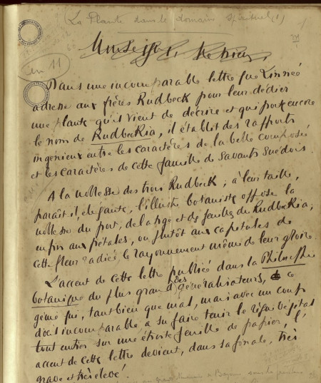 MsR4 (Orthez) / Consulter le document sur Pireneas