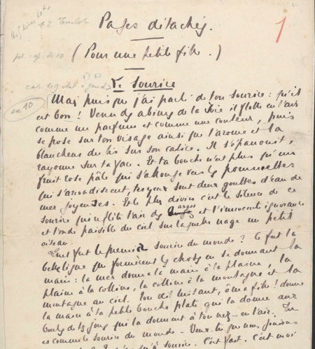 Ms452/36 (Pau)