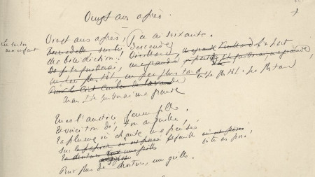 Ms452/52 (Pau)